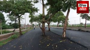 बिहार में गजब खेला बा! 100 करोड़ लगाकर बनाई सड़क के बीचों-बीच खड़े पेड़, नजारा देख चौंक जाएंगे