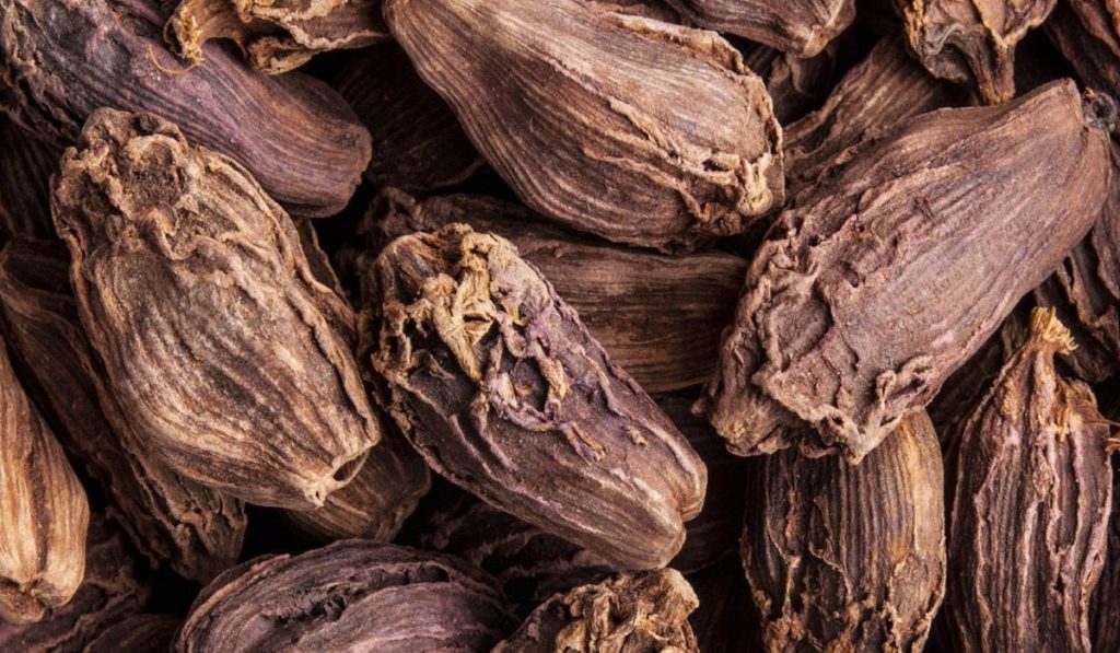 Black Cardamom