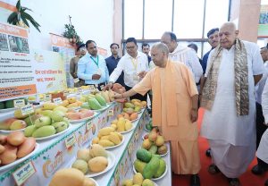 CM योगी ने किया आम महोत्सव का उद्घाटन, किसानों को साल में एक अतिरिक्त फसल उगाने की दी सलाह