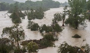 Texas Flood: विनाशकारी बाढ़ से अब तक 120 की मौत, 170 से ज्यादा लापता