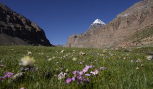 हरित शीत्सांग से रोमांचित हुए भारतीय तीर्थयात्री