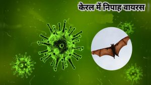 Kerala में पैर पसार रहा Nipah Virus, निगरानी में 425 लोग, स्वास्थ्य विभाग ने बढ़ाई सतर्कता
