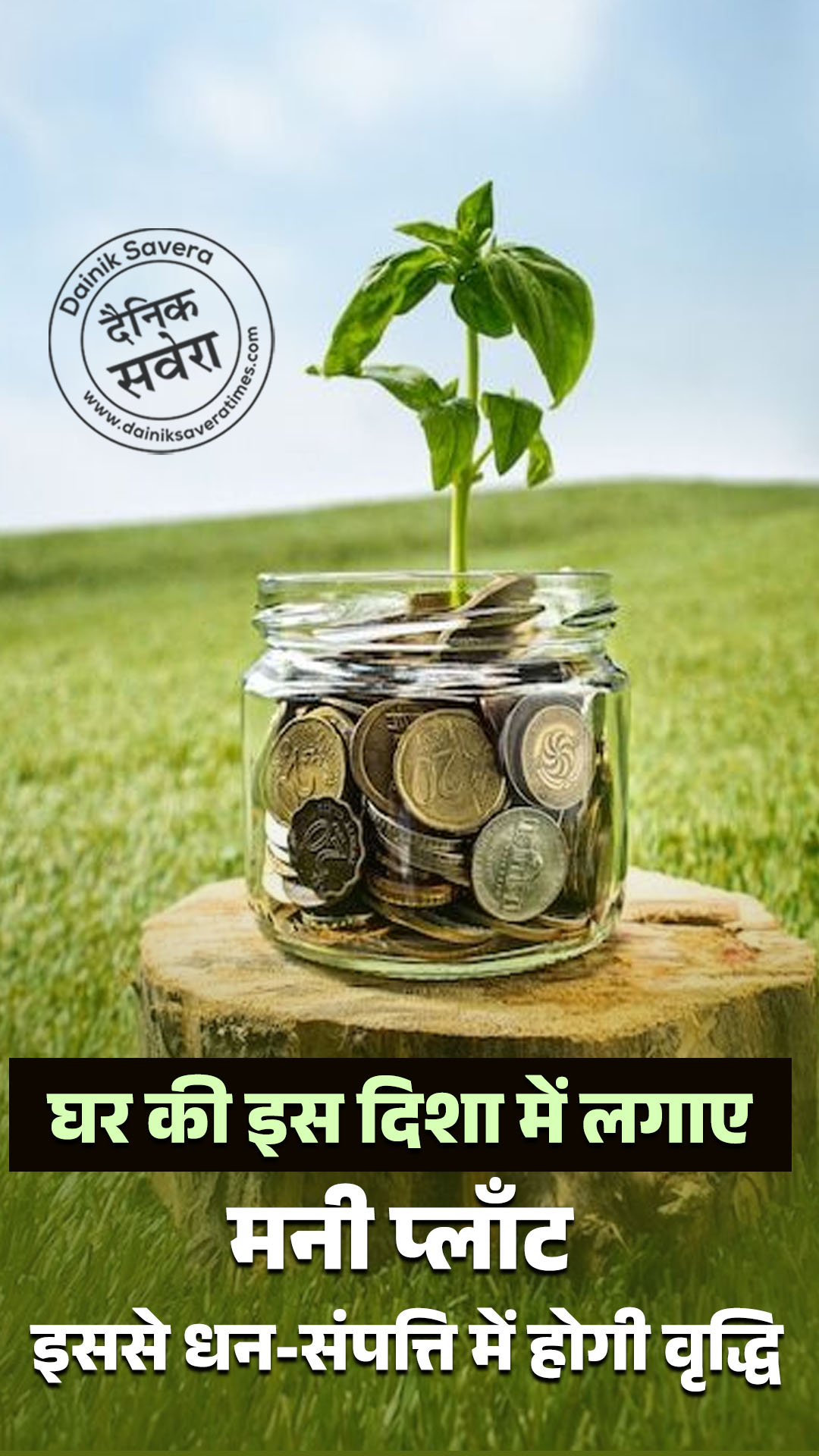 घर की इस दिशा में लगाए मनी प्लाँट, इससे धन-संपत्ति में होगी वृद्धि