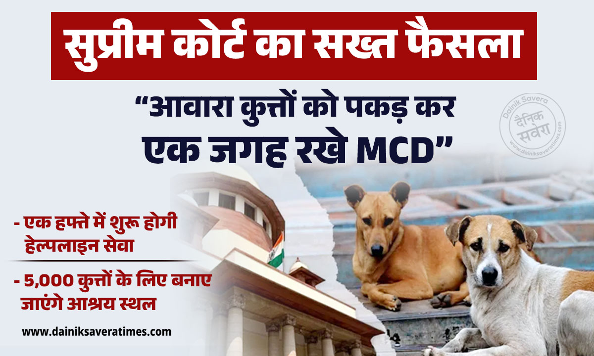 सुप्रीम कोर्ट का सख्त फैसला: कहा- दिल्ली-एनसीआर में आवारा कुत्तों को पकड़ कर एक जगह रखे MCD