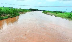 पहाड़ों पर बादल फटने से मारकंडा में सैलाब, रात को बढ़ा जलस्तर