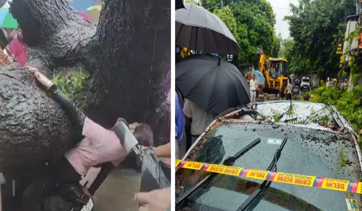 दिल्ली में तेज बारिश के बीच बड़ा हादसा, कालकाजी में पेड़ गिरने से युवक की मौत… महिला नीचे दबी