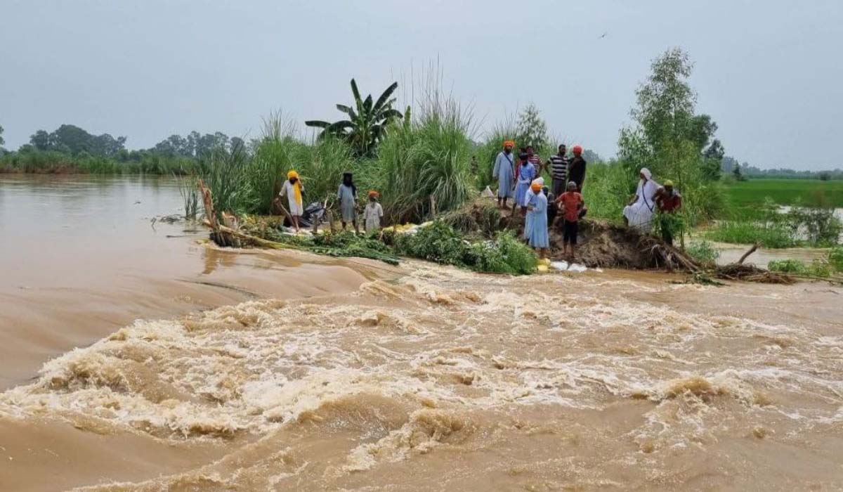 पंजाब में बाढ़ से निपटने के लिए एक्शन मोड में मान सरकार, मंत्री आज करेंगे प्रभावित इलाकों का दौरा