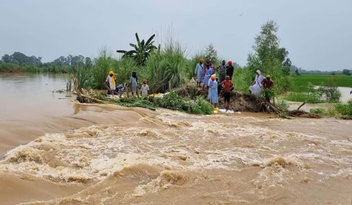 Punjab Flood: पंजाब में भारी बारिश का कहर… उफान पर आई सतलुज-ब्यास-रावी, स्कूल बंद