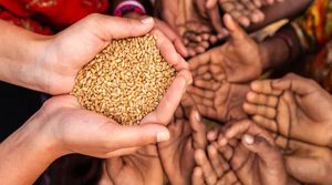 पंजाब में लाखों राशन कार्ड धारकों के लिए बड़ी खबर, केंद्र सरकार ने दिए निर्देश