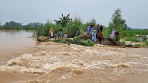 पंजाब में ‘आप’ सरकार बाढ़ प्रभावित इलाकों में जुटी, राहत कार्यों की समीक्षा में मंत्री हुए सक्रिय