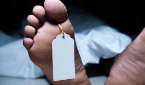 झज्जर : कार-ऑटो की टक्कर में तीन की मौत, कई घायल