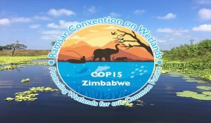 COP15: वैश्विक आर्द्रभूमि संरक्षण पर ऐतिहासिक सहमति