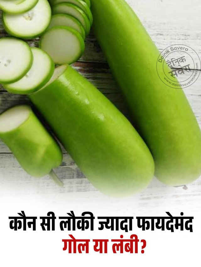 कौन सी लौकी ज्यादा फायदेमंद, गोल या लंबी?