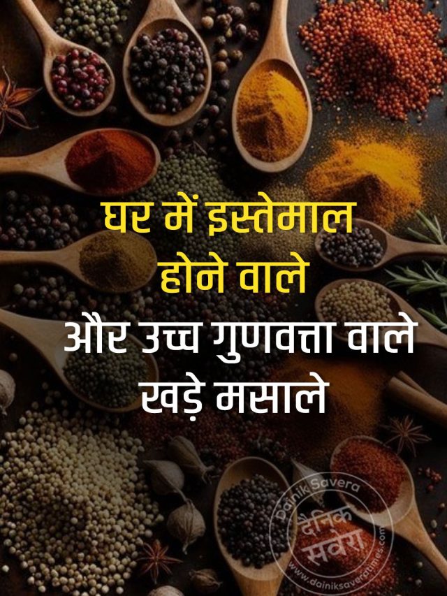 घर में इस्तेमाल होने वाले और उच्च गुणवत्ता वाले खड़े मसाले