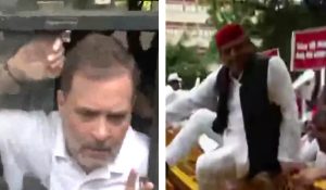 INDI Alliance Protest: राहुल और प्रियंका गांधी समेत कई सांसद हिरासत में लिए गए,  बैरिकेड फांदकर कूदे अखिलेश