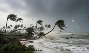 Tapah Tropical Storm: तूफान तपाह से हांगकांग में भयंकर तबाही, स्कूल बंद, कई फ्लाइट कैंसिल