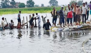 Haryana Flood Crisis: 5 जिलों में जलभराव से फसलें चौपट, कई इलाके डूबे