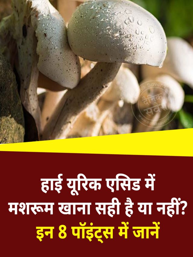हाई यूरिक एसिड में मशरूम खाना सही है या नहीं? इन 8 पॉइंट्स में जानें
