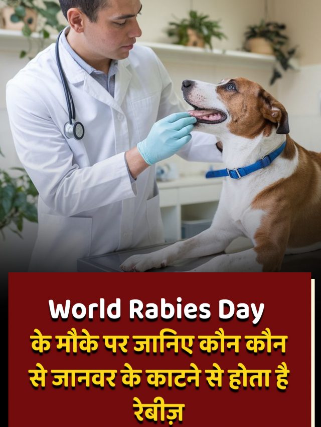 World Rabies Day के मौके पर जानिए कौन कौन से जानवर के काटने से होता है रेबीज़