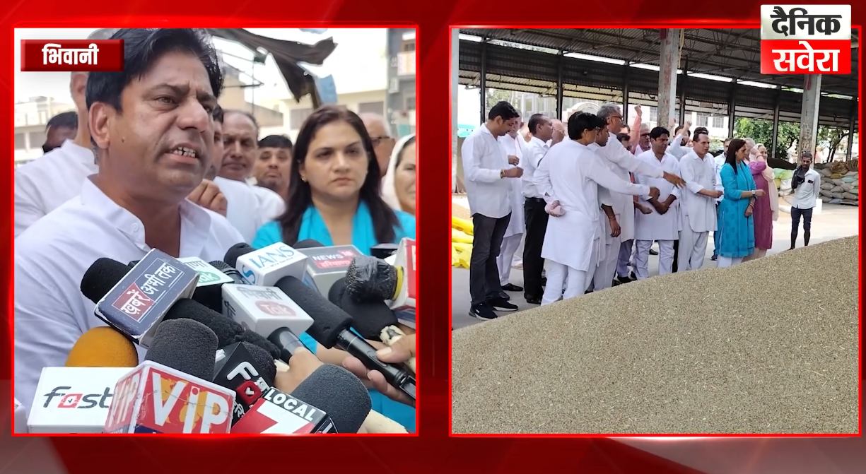 MSP पर बाजरे की खरीद ना होने पर कांग्रेस ने भिवानी अनाज मंडी में किया प्रदर्शन, सरकारी खरीद की मांग