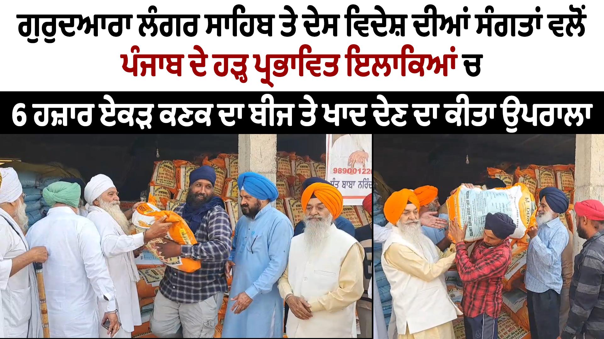गुरुद्वारा लंगर साहिब ने बाढ़ प्रभावित पंजाब में गेहूं बीज और उर्वरक वितरित किए”