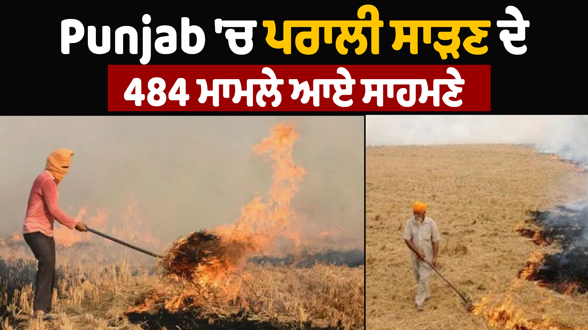 पंजाब में पराली जलाने के 484 मामले सामने आए, 10 लाख रुपये का जुर्माना