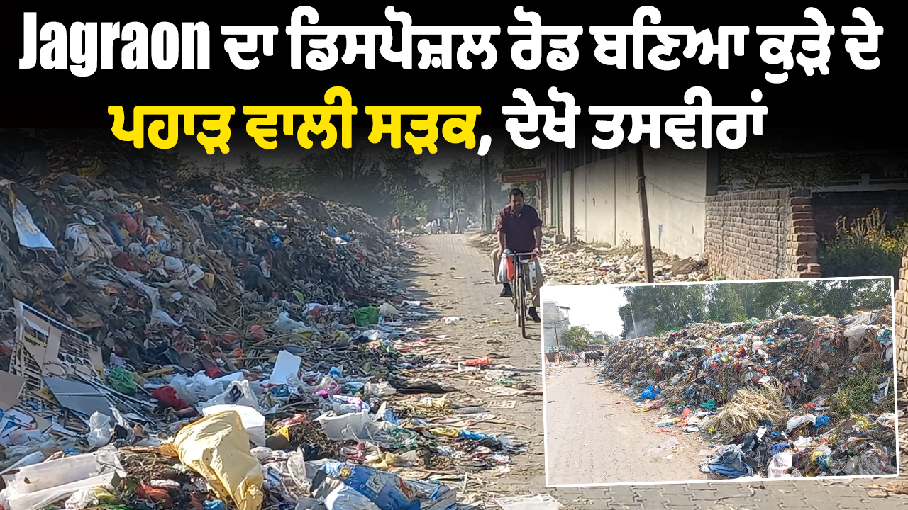 जगराओं की डिस्पोजल रोड बन गई है कूड़े का पहाड़, देखें तस्वीरें