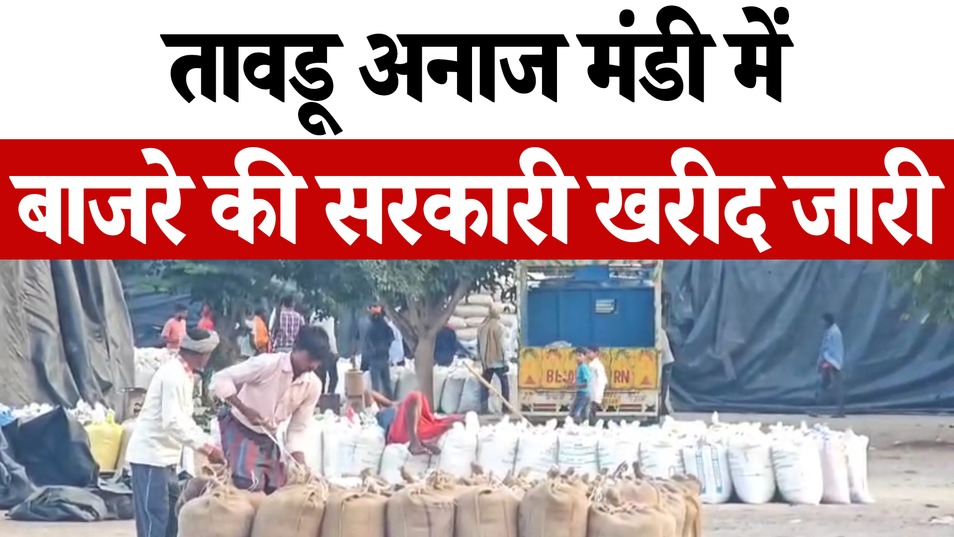Nuh की तावडू अनाज मंडी में बाजरे की सरकारी खरीद जारी,किसानों को मिल रही सुविधा