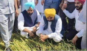 मुख्यमंत्री के ध्यान में है हर किसान, समस्याओं का हो रहा तुरंत समाधान: “अपना CM – अपने खेता विच” – जब मुख्यमंत्री खुद खेतों में पहुंचकर सुलझाते है किसानों की समस्याएं