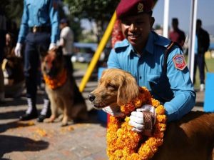 Kukur Tihar: जानिए नेपाल के अनोखे त्योहार के बारे में जहां कुत्तों को माला पहनाकर, दावत देकर और VIP ट्रीटमेंट देकर किया जाता है सम्मानित