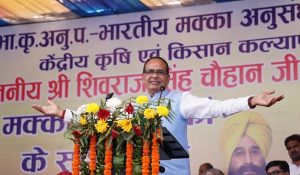 कृषि भारतीय अर्थव्यवस्था की रीढ़, किसान उसकी आत्मा और पंजाब देश की खेती के प्राण: शिवराज सिंह चौहान