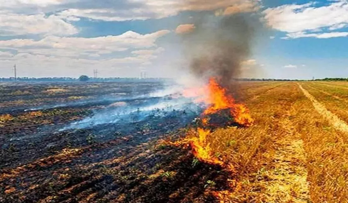 पराली जलाने पर सख्ती: पंजाब-हरियाणा सरकार ने लागू की नई कार्य योजना