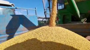 दुनिया में 73 करोड़ लोग हैं भूखे, क्‍यों चर्चा में है चीन?