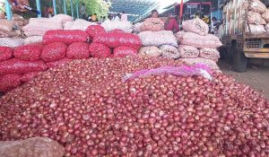 दीपावली पर किसानों की बढ़ी चिंता, 11 दिन तक बंद रहेंगी प्याज मंडियां