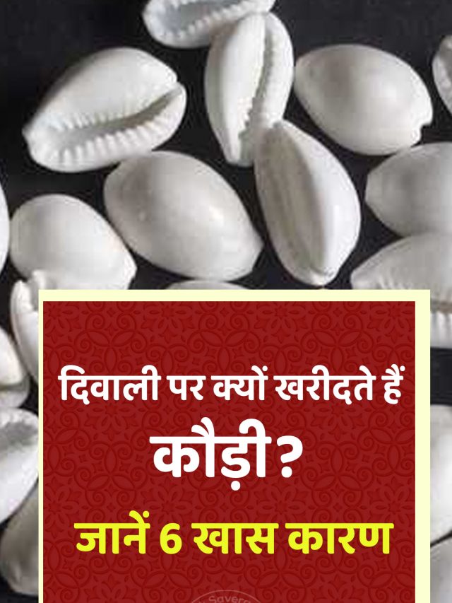 दिवाली पर क्यों खरीदते हैं कौड़ी? जानें 6 खास कारण