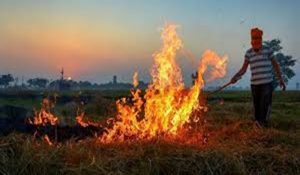 करनाल में पराली जलाने का नया मामला, राहड़ा गांव के किसान पर 5 हजार जुर्माना और एफआईआर दर्ज