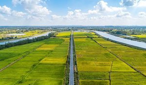 चीन समाजवादी रास्ते पर क्यों चढता रहता है?