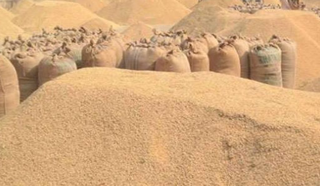Paddy Procurement