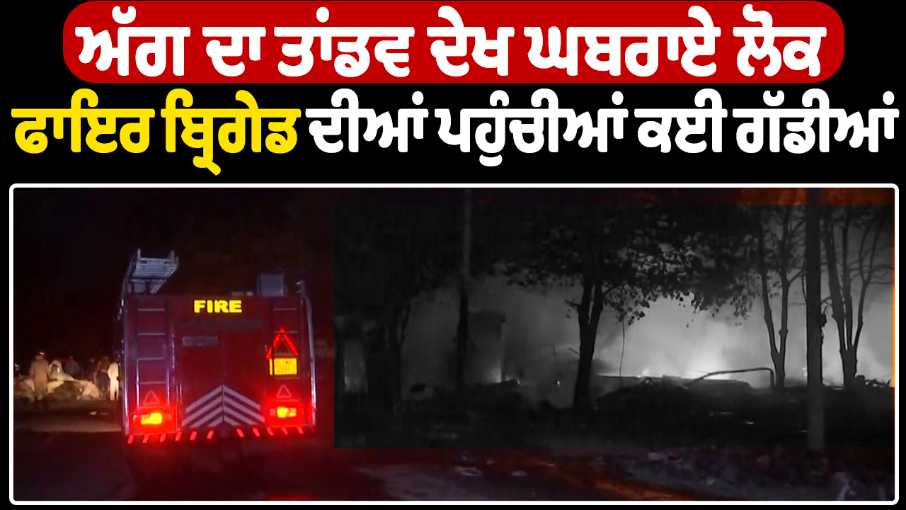आग देखकर घबराए लोग, फायर ब्रिगेड की कई गाड़ियां मौके पर पहुंचीं
