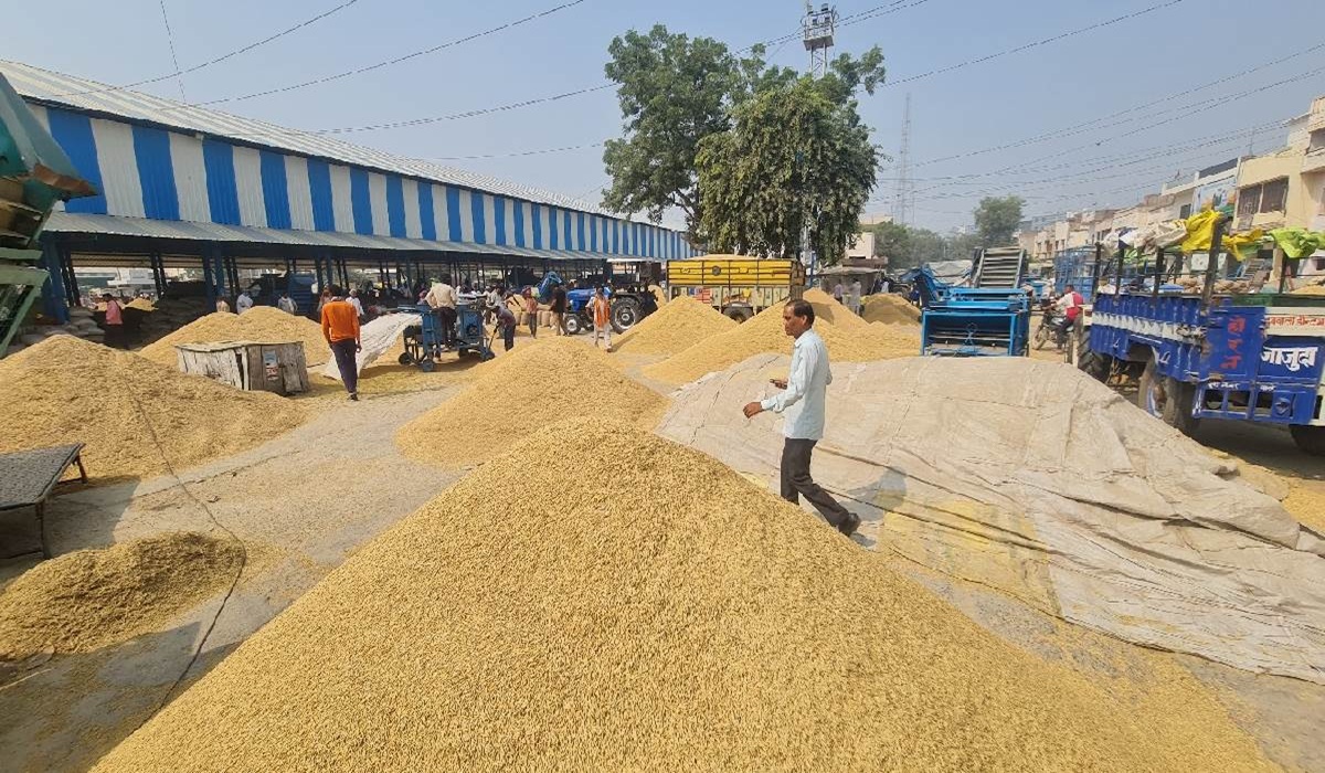 कट न होने से इसराना अनाज मंडी पहुंचना मुश्किल, किसानों में रोष बढ़ा