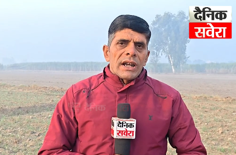 सीज़न का पहला घना कोहरा पड़ना हुआ शुरू