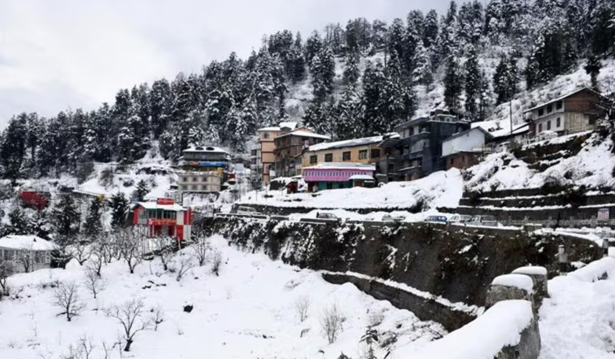 Himachal Weather Update: कोहरे का अलर्ट जारी, न्यूनतम तापमान 10° से नीचे फिसला