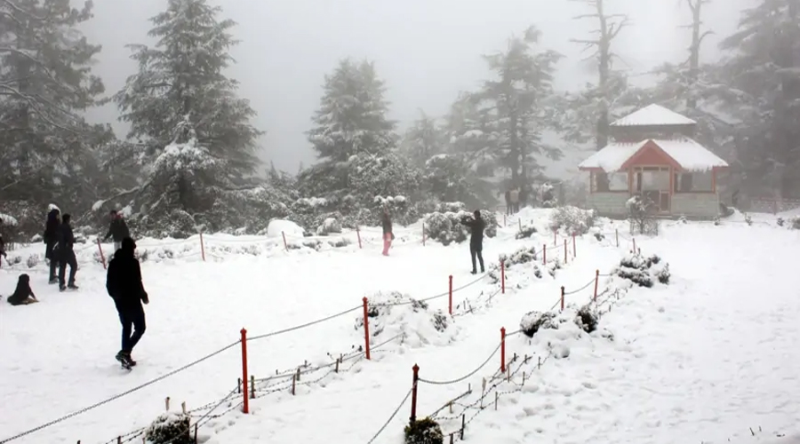 हिमाचल में बढ़ी ठंड, इन इलाकों में बर्फबारी और कोहरे का अलर्ट, पढ़ें मौसम का अपडेट