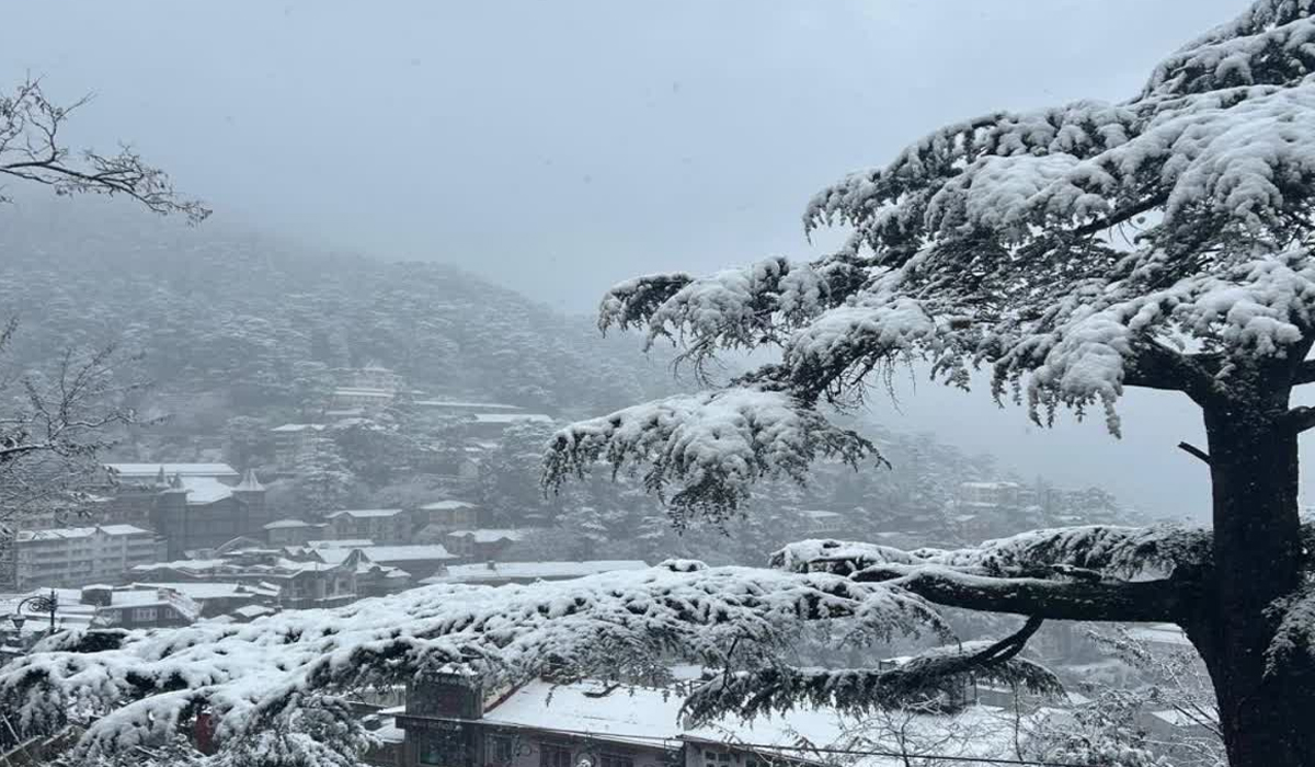 Himachal Weather Update: सर्दी ने दी दस्तक, अगले कुछ दिन मौसम रहेगा साफ