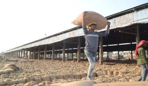 असंध में राइस मिलों में हड़कंप, 25 हजार क्विंटल धान गायब