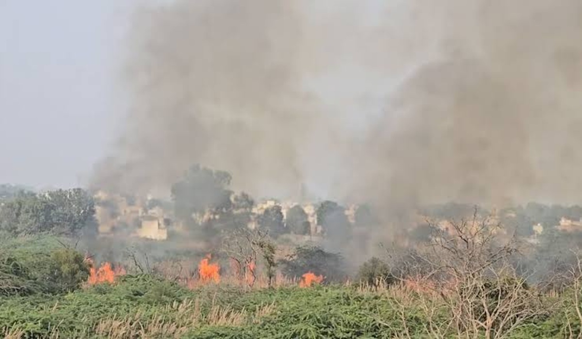 सीसीआई परिसर में अचानक लगी आग, धुएं से हालात बिगड़े