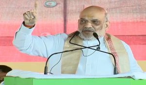 ’14 नवंबर को राहुल और लालू की पार्टियों का पूरी तरह सफाया हो जाएगा’, अमित शाह का महागठबंधन पर हमला