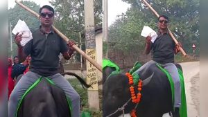 बिहार है गुरू… भैंस पर सवार होकर वोट डालने पहुंचा लालू का करीबी, देखें VIDEO