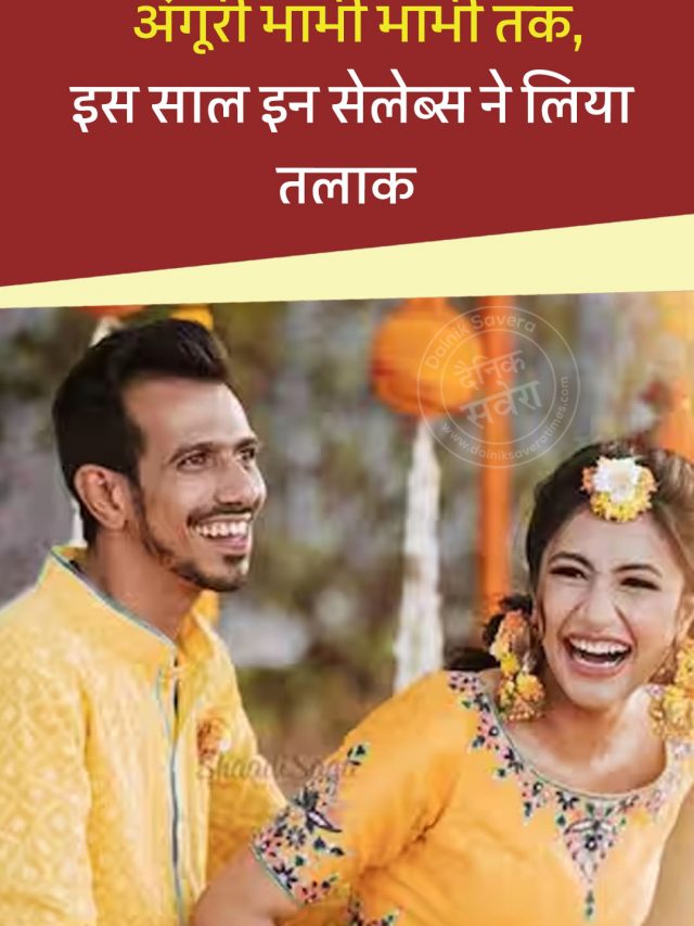 चहल-धनश्री से लेकर अंगूरी भाभी भाभी तक, इस साल इन सेलेब्स ने लिया तलाक