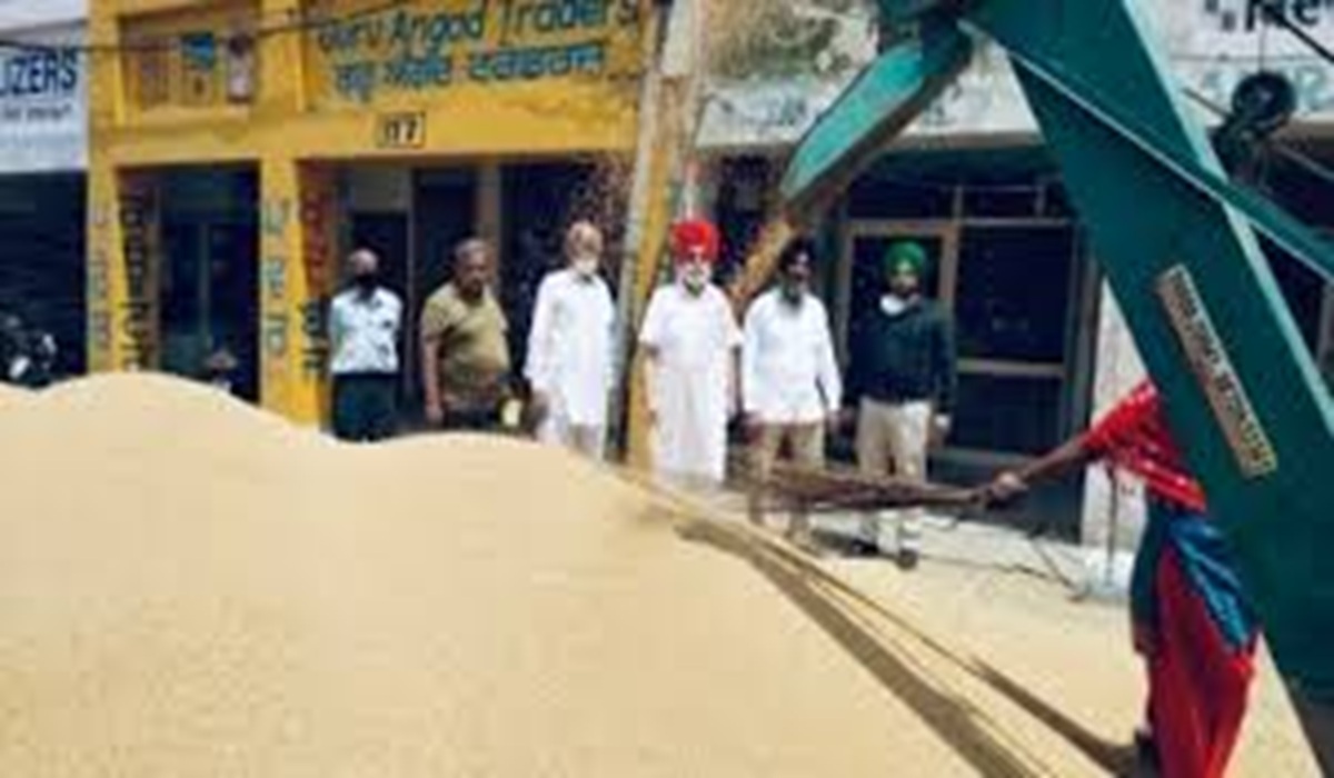 धीमे पोर्टल से दादरी मंडी में बाजरा बेचने पहुंचे किसान परेशान